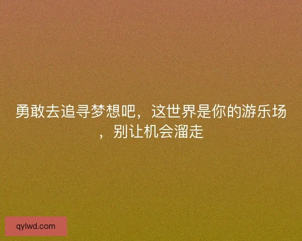 勇敢去追寻梦想吧，这世界是你的游乐场，别让机会溜走